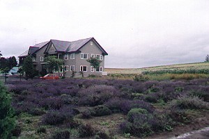 民宿 - Country House KAKI