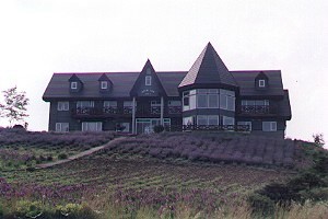 民宿 - Farm Pension With You